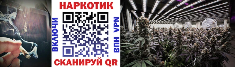 Купить закладку APVP  Бошки Шишки  Меф  Лсд 25  Гашиш  Вилюйск