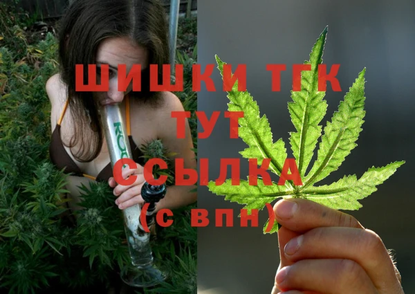 СК Вязники