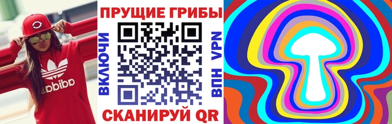 Псилоцибиновые грибы Psilocybine cubensis Вилюйск