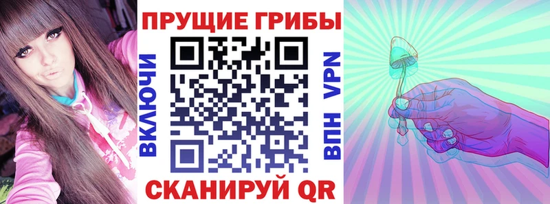 Купить закладки Вилюйск Галлюциногенные грибы мухоморы